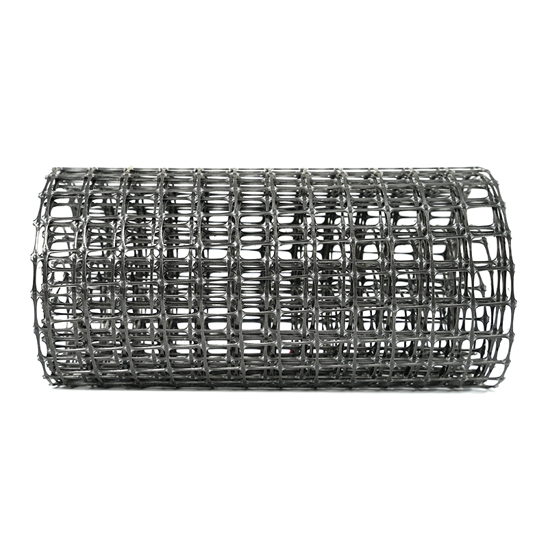 Bidirectional geogrid