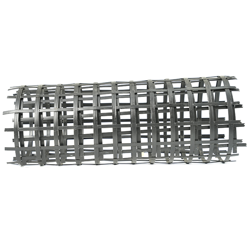 Steel plastic geogrid